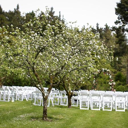 Rathsallagh Country House Hotel Екстер'єр фото